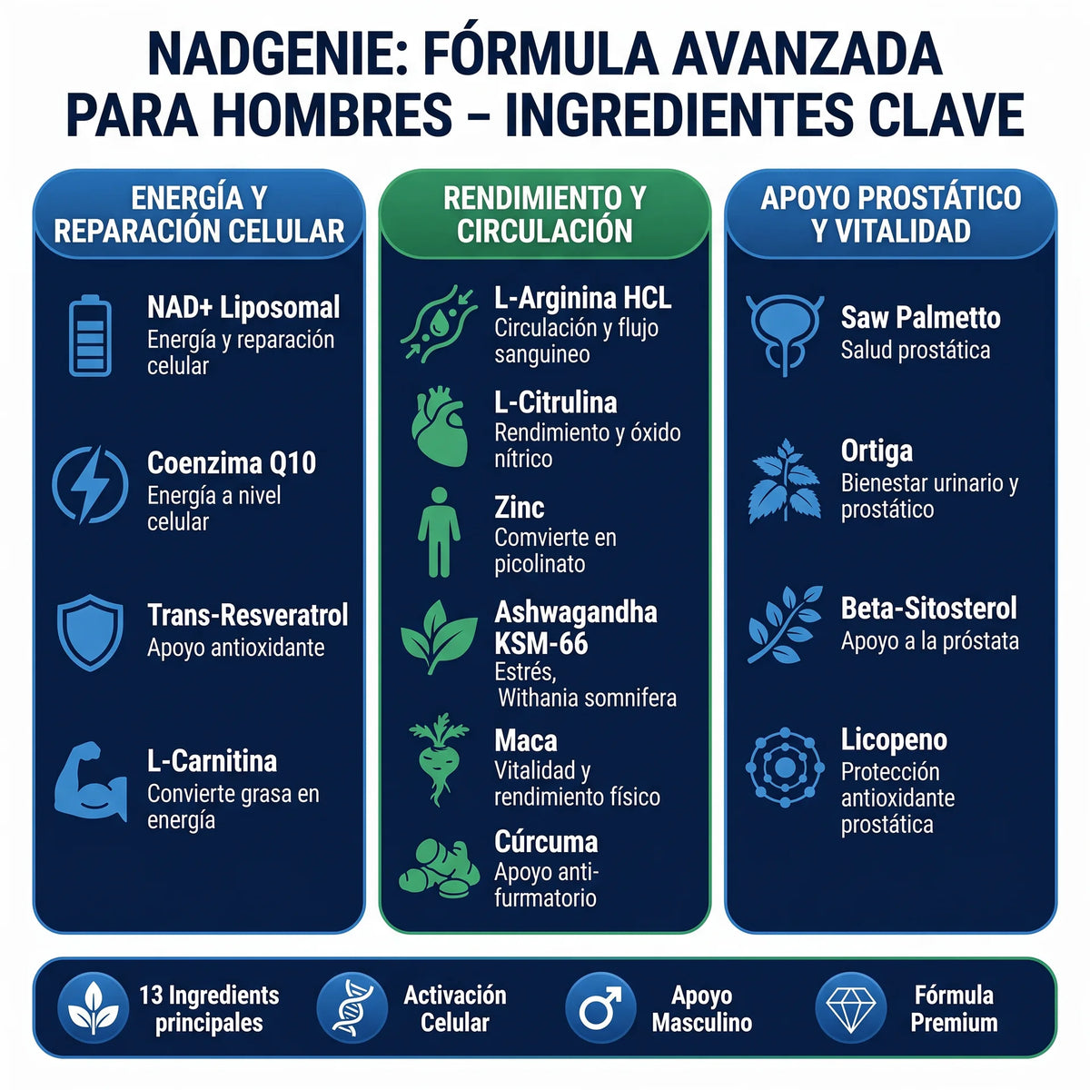 Vernu Nad+
