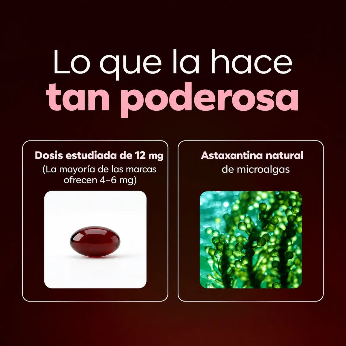 Vernu Astaxantina 12 mg