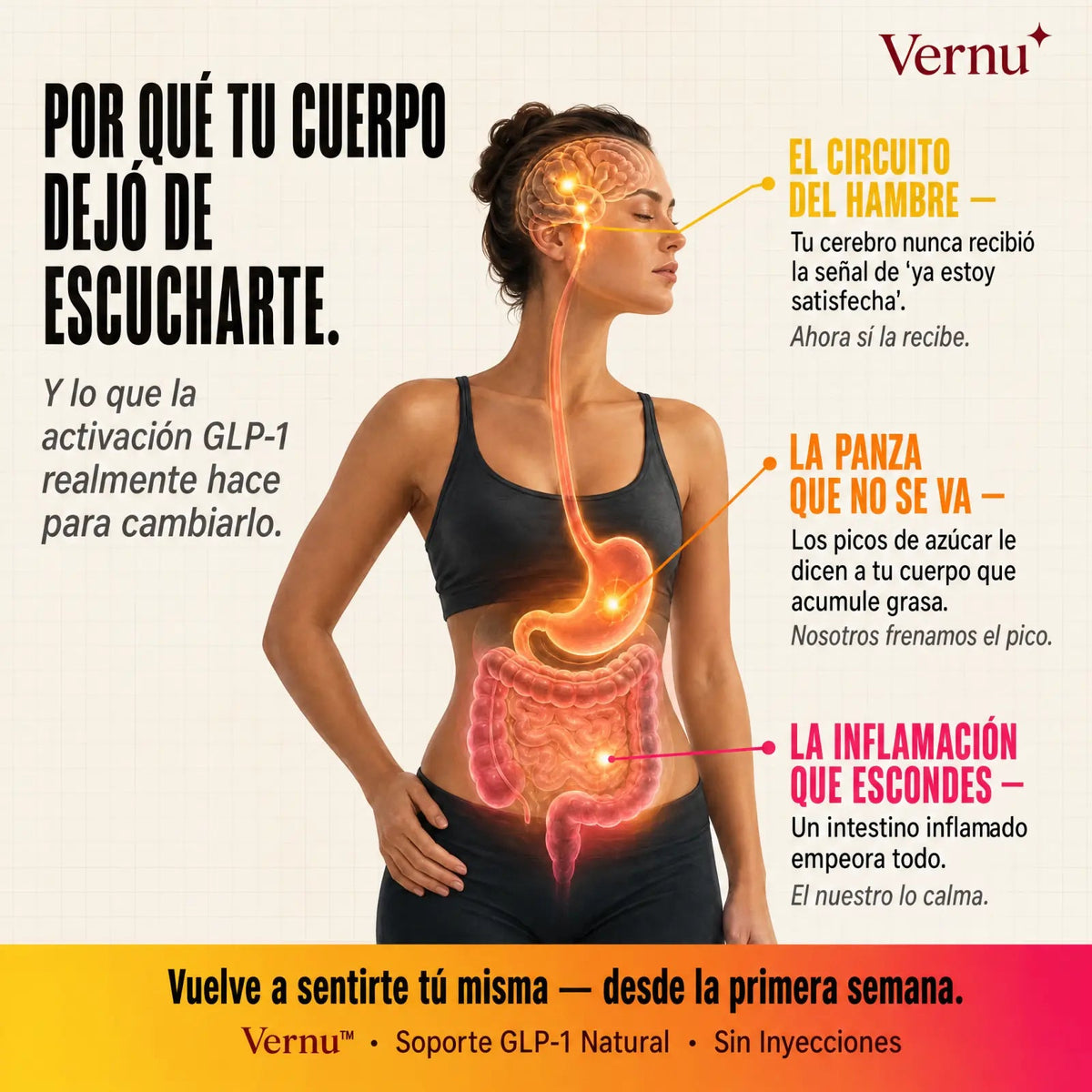 Vernu Berberina GLP-1